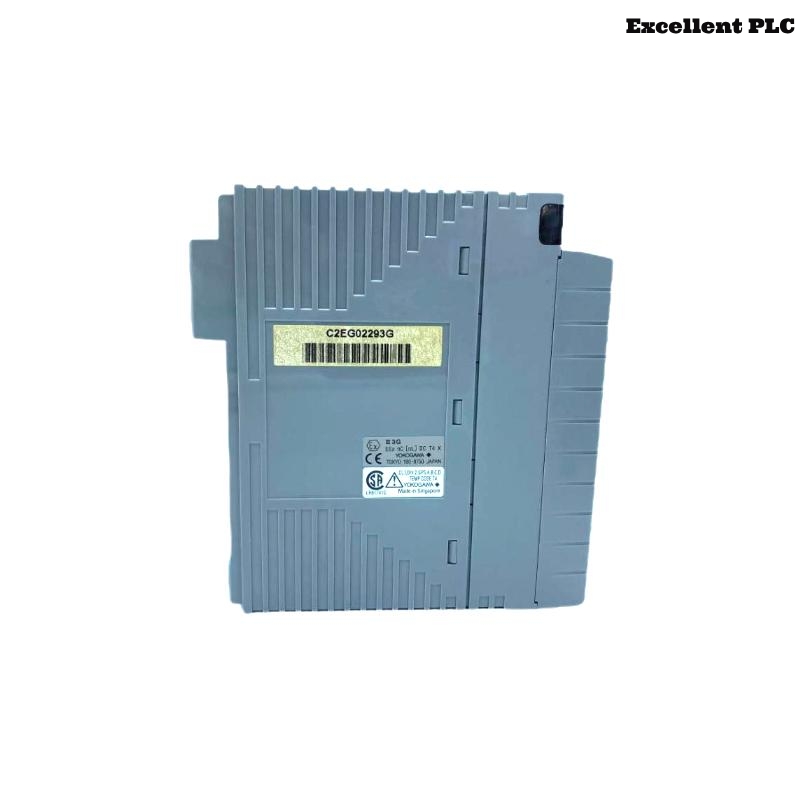 Yokogawa AAI141-H00/K4A00 Analog Input Module